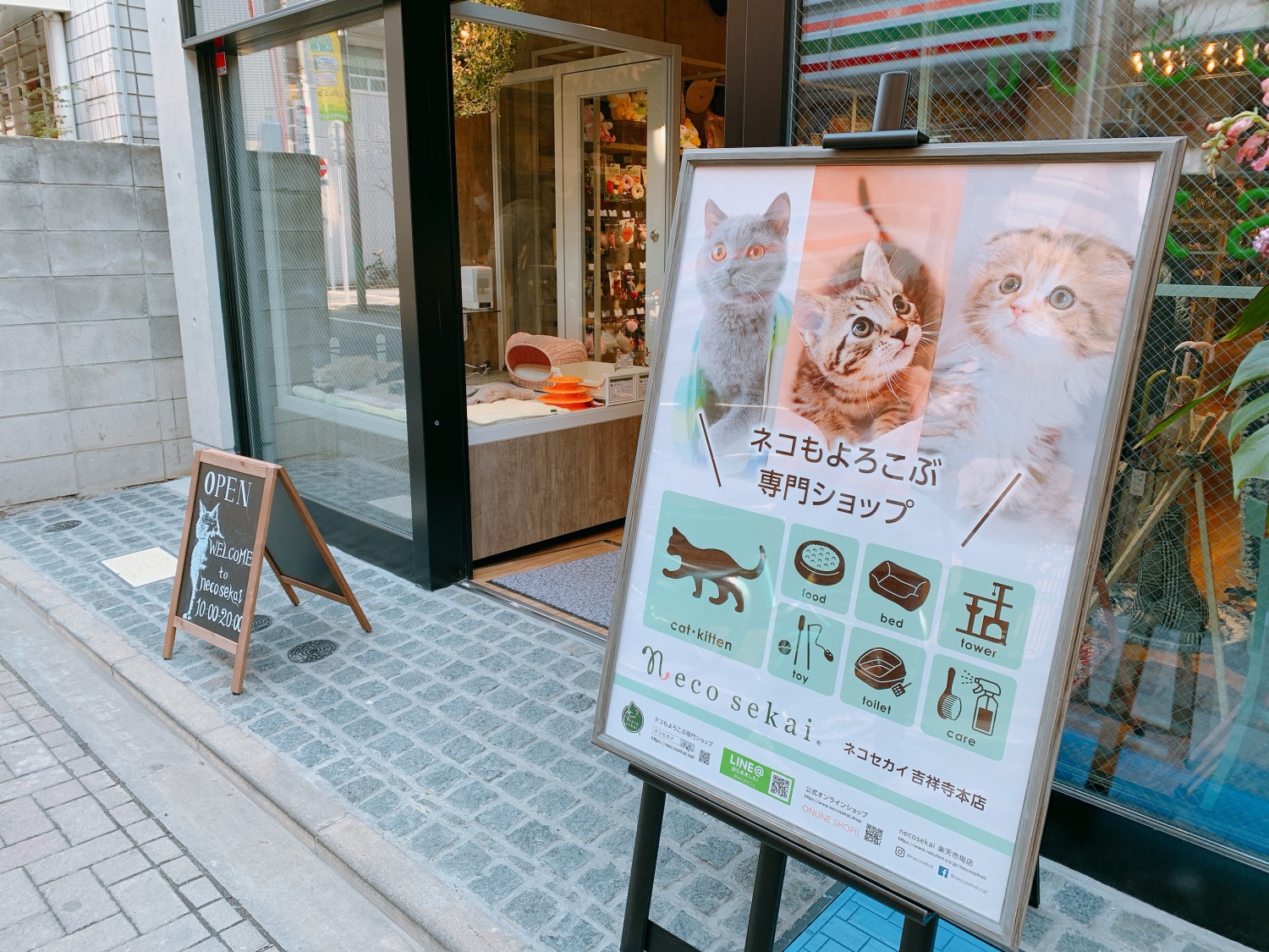 吉祥寺 ストア ペット 用品 猫