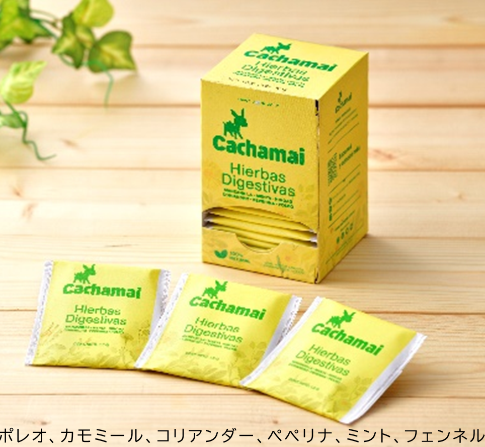 カチャマイジャパン 【わっしょい吉祥寺】